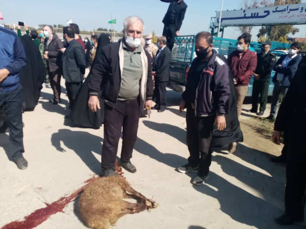 قربانی یک راس گوسفند برای کمک به نیازمندان در کانون شهدا روستای گرجی محله بهشهر