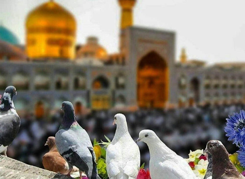 ۱۱۳ نفر از فعالین کانون های مساجد گراش به اردوی مشهد مقدس رفتند
